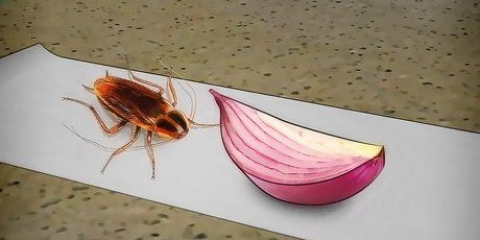 Pegando baratas