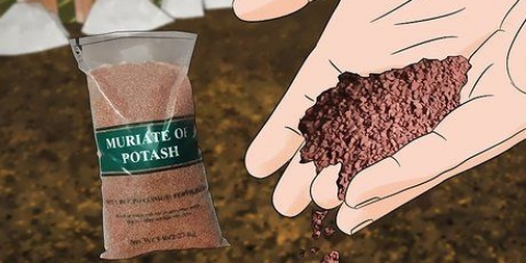 Adicionando potássio a uma horta orgânica
