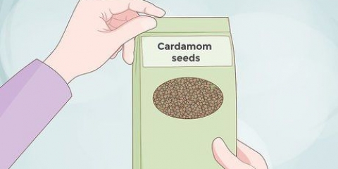 Cultive cardamomo