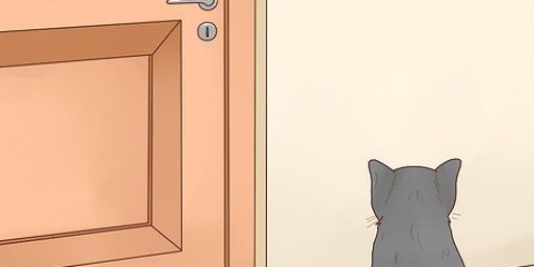 Mantenha os gatos fora de um quarto