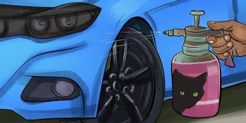 Mantenha os gatos longe do seu carro