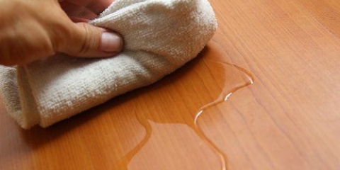 Removendo urina de gato de pisos de madeira