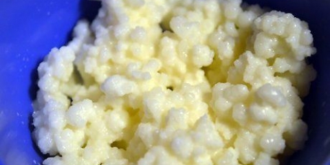 Armazenando grãos de kefir