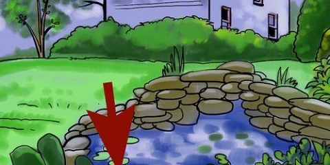 Mantenha os sapos fora do seu jardim