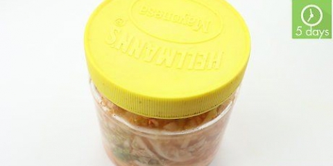 Fazendo kimchi