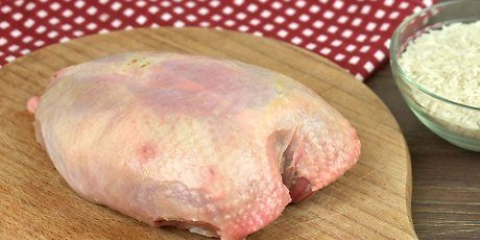 Preparando frango com arroz para cães