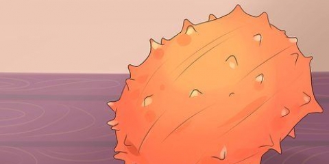 Comer kiwano