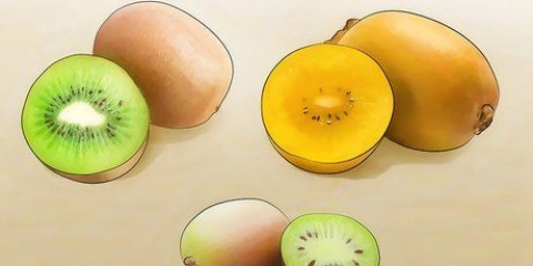 Crescendo kiwis