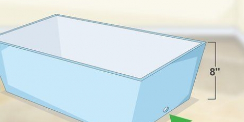 Cultivando alho dentro de casa em vasos