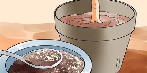 Usando borra de café em seu jardim