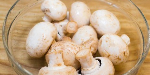 Cozinhar com cogumelos