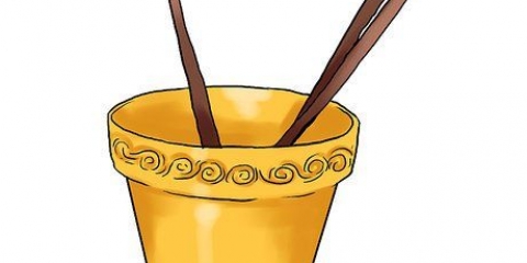 Cultivo de pepinos em vasos