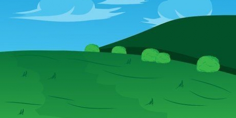 Cuidando da lavanda