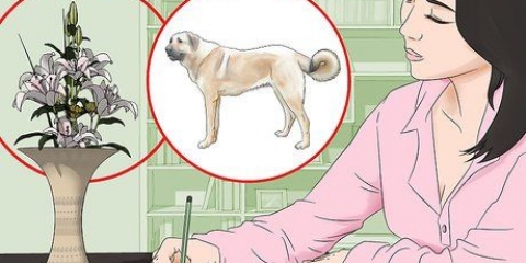 Aprenda a desenhar sem aulas