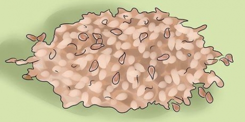 Comer linhaça