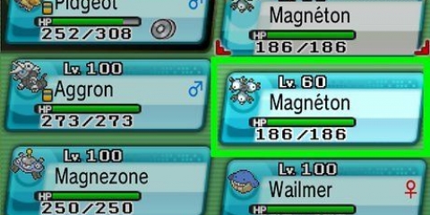 Magneton em evolução