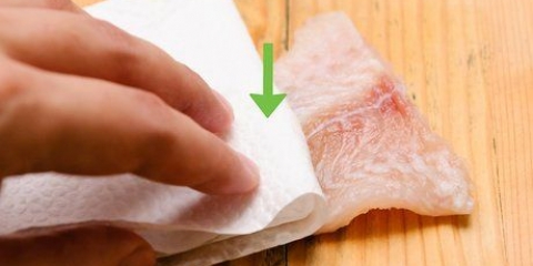 Prepare o peixe-gato de diferentes maneiras