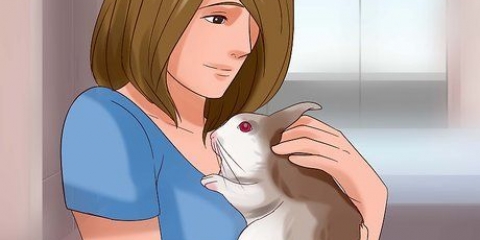 Brincando com seu coelho