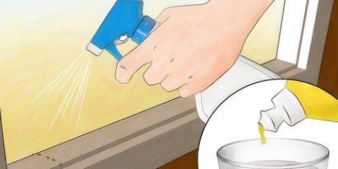 Matar formigas sem usar pesticidas