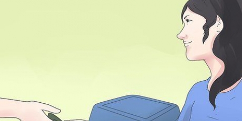 Cuidando de coelhos mini lop