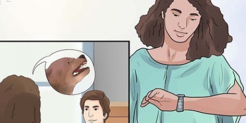 Lidando com o cachorro latindo do vizinho