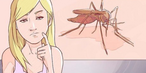 Distinção entre malária, dengue e chikungunya