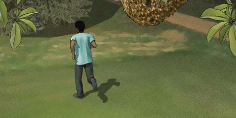 Escapando de um ataque de abelhas africanizadas