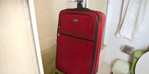 Verificação de percevejos de cama