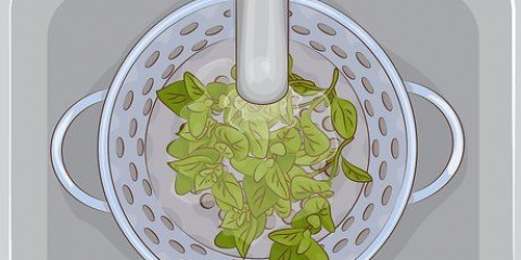 Usando orégano na cozinha
