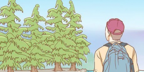 Sobrevivência na floresta
