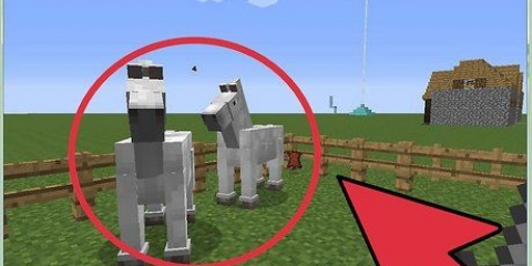 Criando cavalos no minecraft