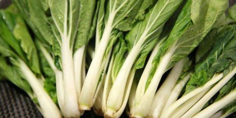 Fatiar pak choi