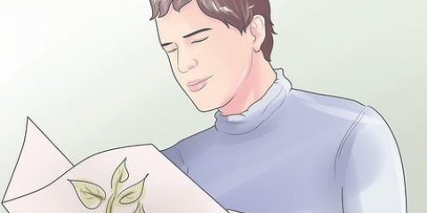 Plantas de enxerto