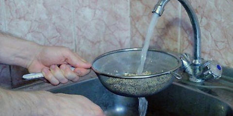 Cozinhar quinoa em uma panela de arroz