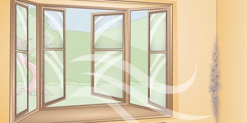 Removendo o molde do drywall
