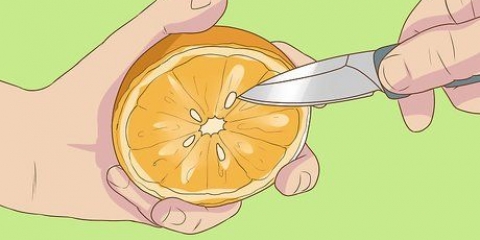 Germinando sementes de laranja