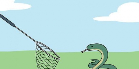 Pegando cobras