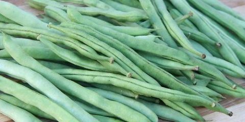 Congele o feijão verde