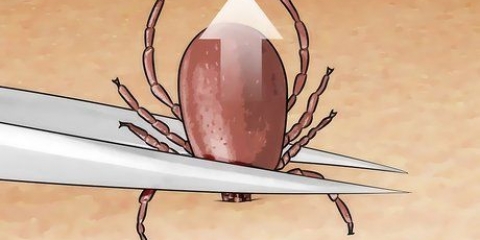 Matar carrapatos
