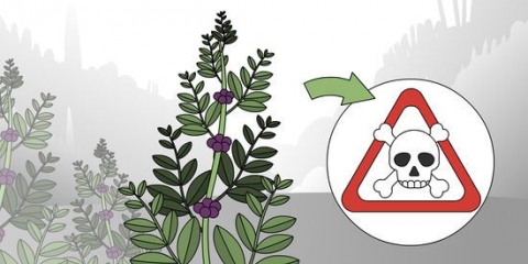 Testando se uma planta é comestível
