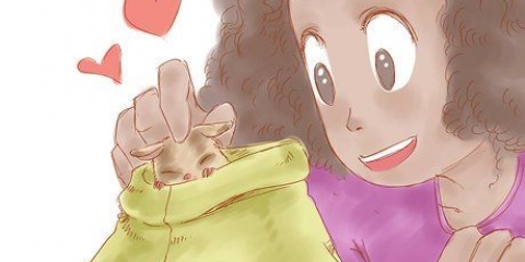 Dicas para cuidar do seu planador do açúcar