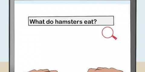 Obtendo permissão de seus pais para manter um hamster