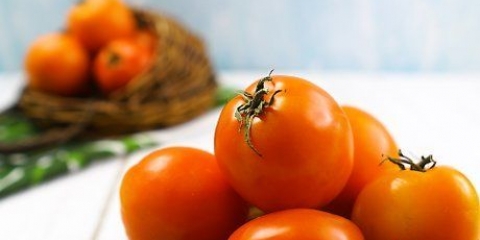 Fazendo suco de tomate