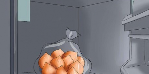 Cuidando das tulipas
