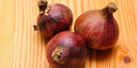 Cebolas secas