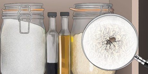 Livre-se das pragas da cozinha