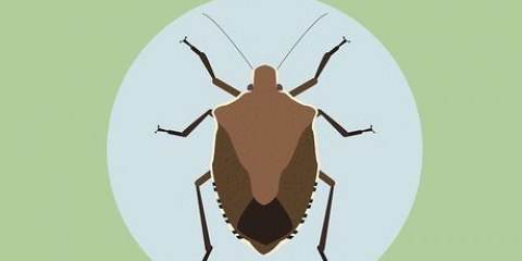 Livre-se de bugs de escudo