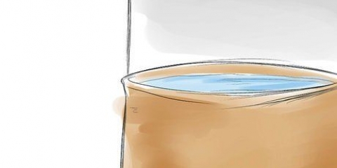 Livre-se dos insetos aquáticos