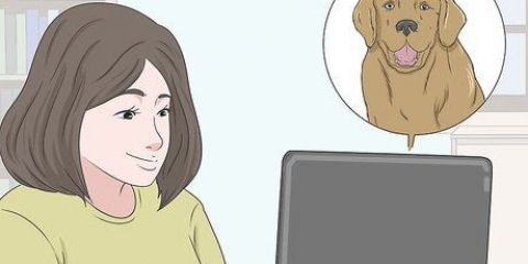 Comprar um cachorro com segurança online