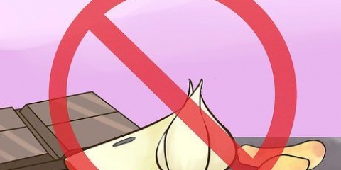 Prevenção de envenenamento por hamster